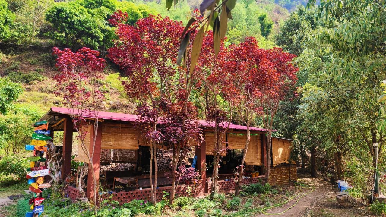 Hobo Huts By The Riverside Panuanaula Exterior photo